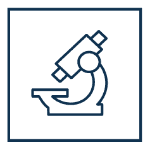 LabMedical